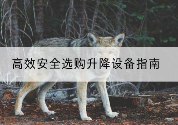 寻甸升降货梯厂家推荐-*安全选购升降设备指南