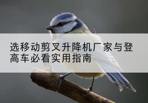 寻甸电动升降机厂家-选移动剪叉升降机厂家与登高车必看实用指南