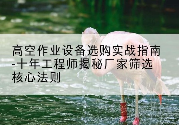寻甸剪叉式升降机厂家-高空作业设备选购实战指南-十年工程师揭秘厂家筛选核心法则